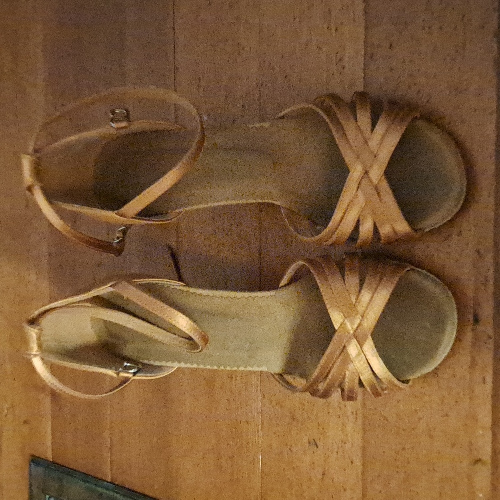 Latin/Rhythm Dance shoes